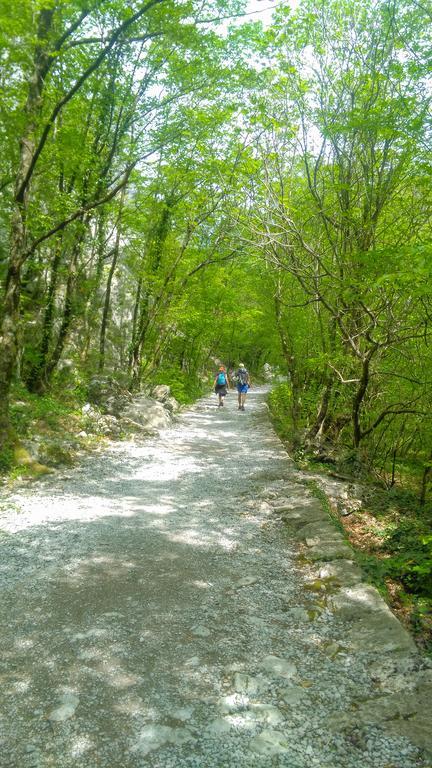 Zdenka Starigrad Paklenica